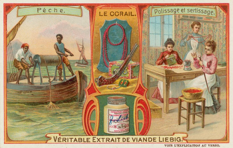 Corallo da European School