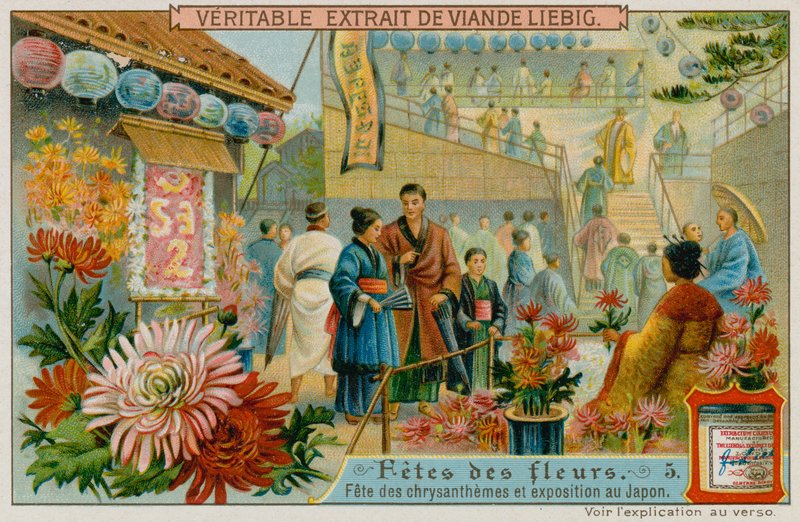 Festa dei Crisantemi in Giappone da European School