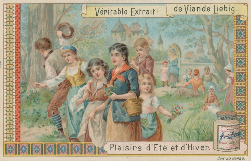 Raccolta di fiori da European School