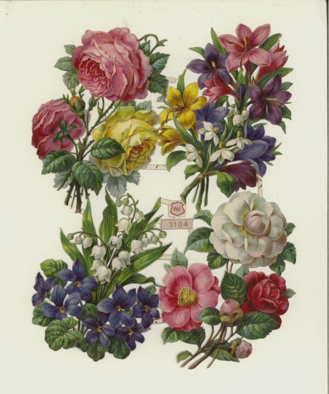Fiori (cromolitografia) da European School