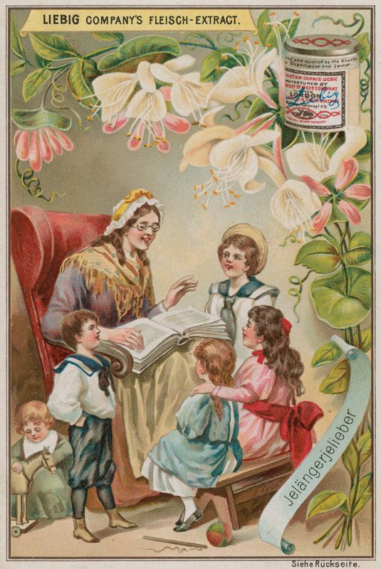 Caprifoglio da European School