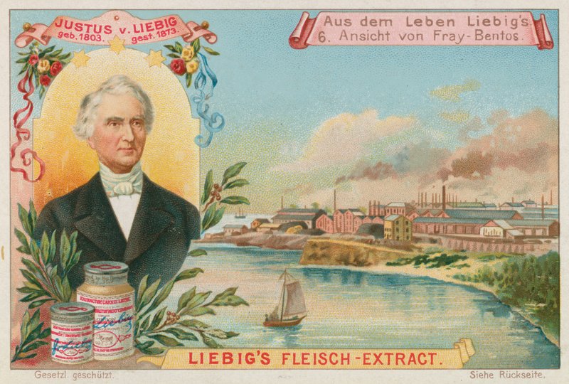 Justus von Liebig: Vista di Fray-Bentos da European School