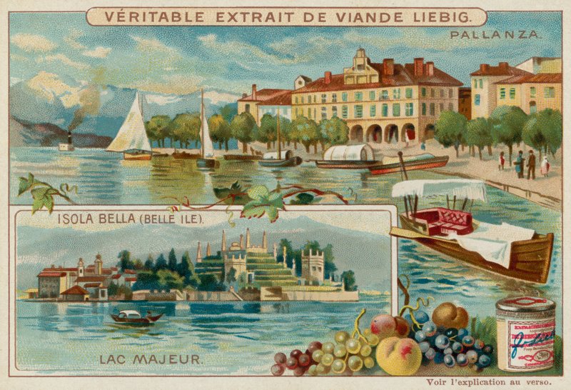 Lago Maggiore da European School