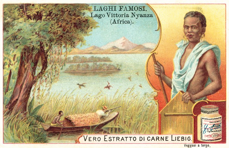 Lago Vittoria, Africa da European School