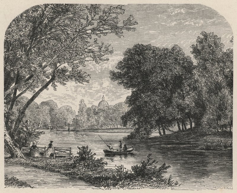 Il bosco a L