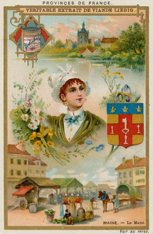 Le Maine da European School