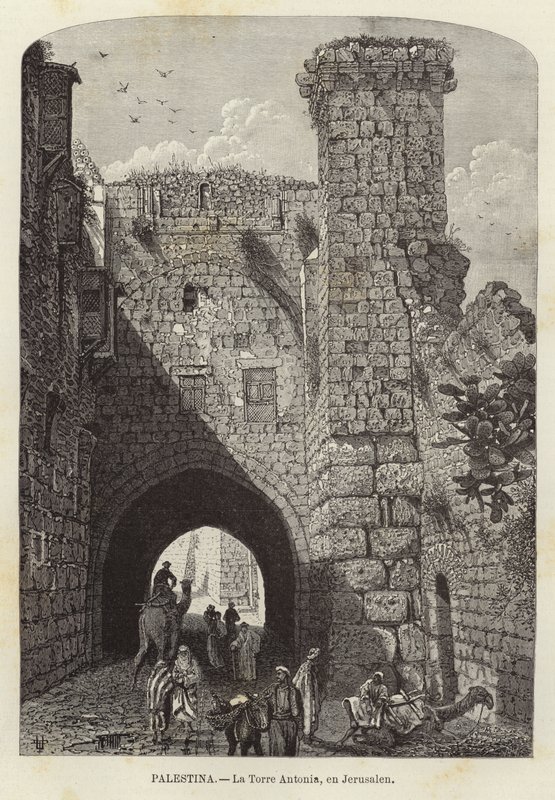 Palestina, La Torre Antonia, a Gerusalemme da European School