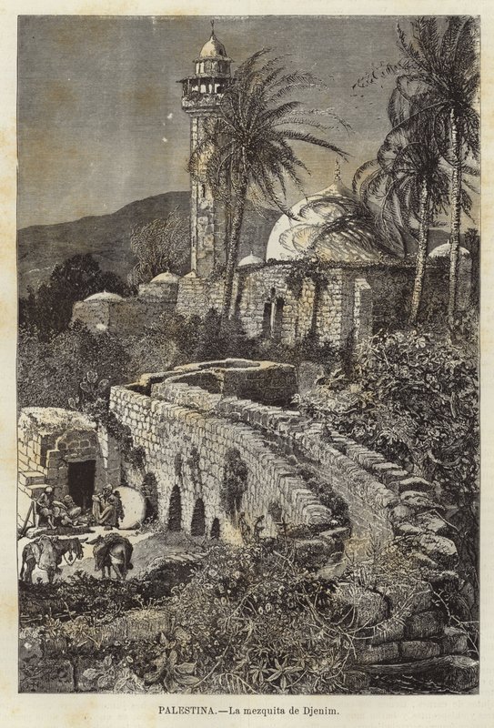 Moschea di Djenim da European School