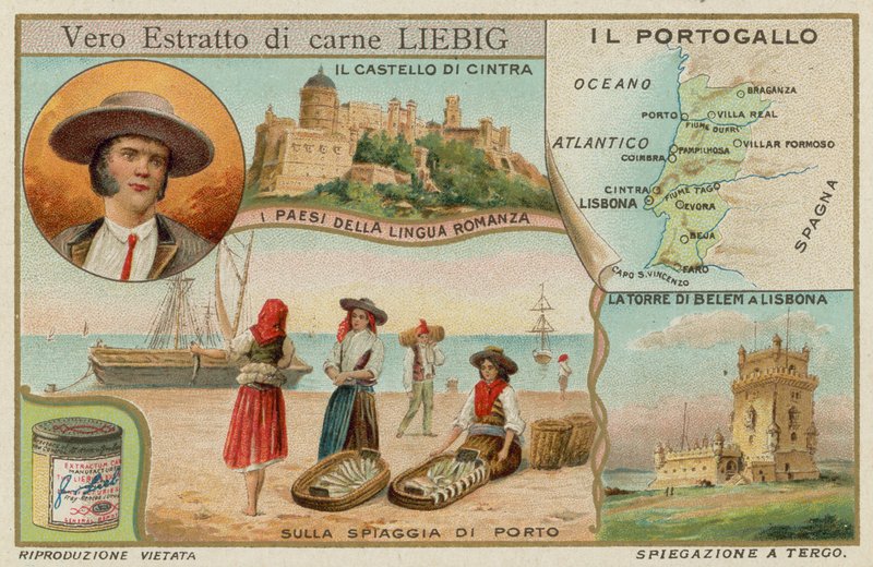 Portogallo da European School
