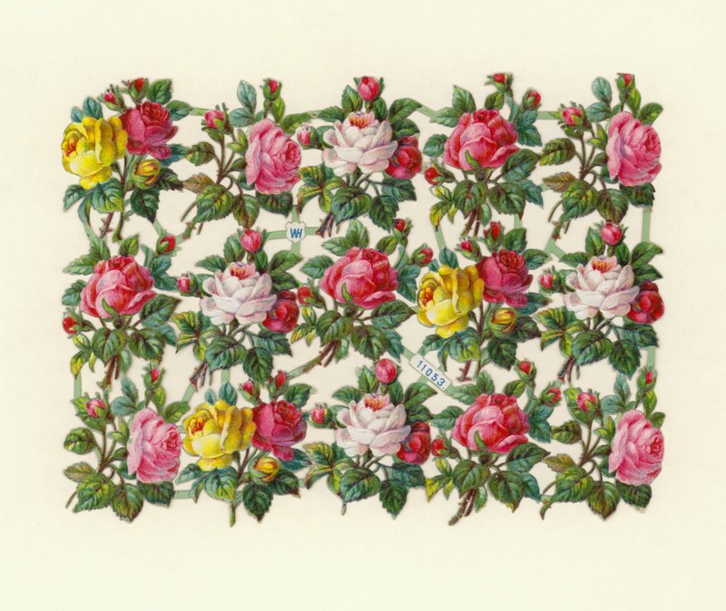 Rose da European School