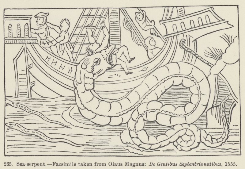 Serpente marino da European School