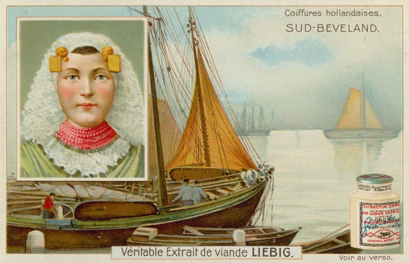South Beveland da European School
