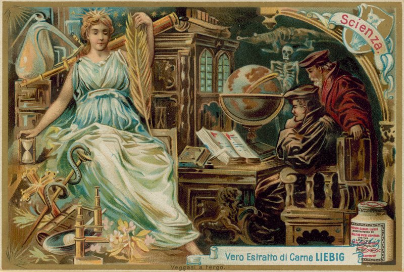Le scienze da European School