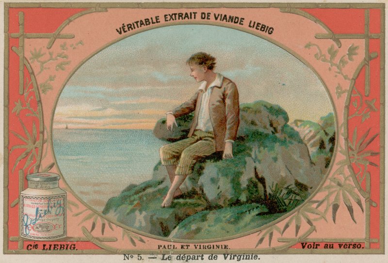 Virginie parte da European School