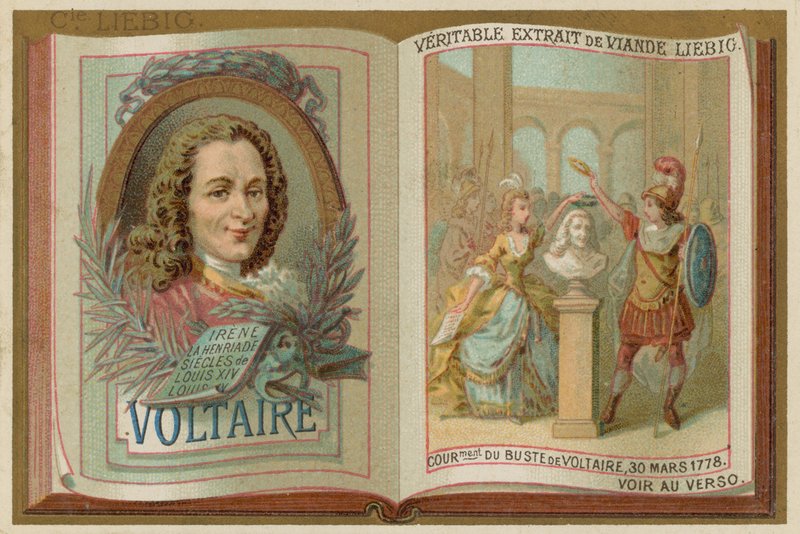 Voltaire da European School