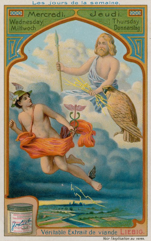 Mercoledì e Giovedì da European School