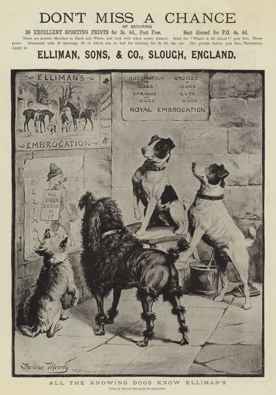Pubblicità, Elliman