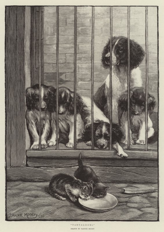 Allettante da Fannie Moody
