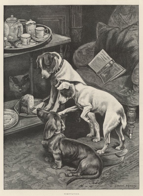 Tentazione da Fannie Moody