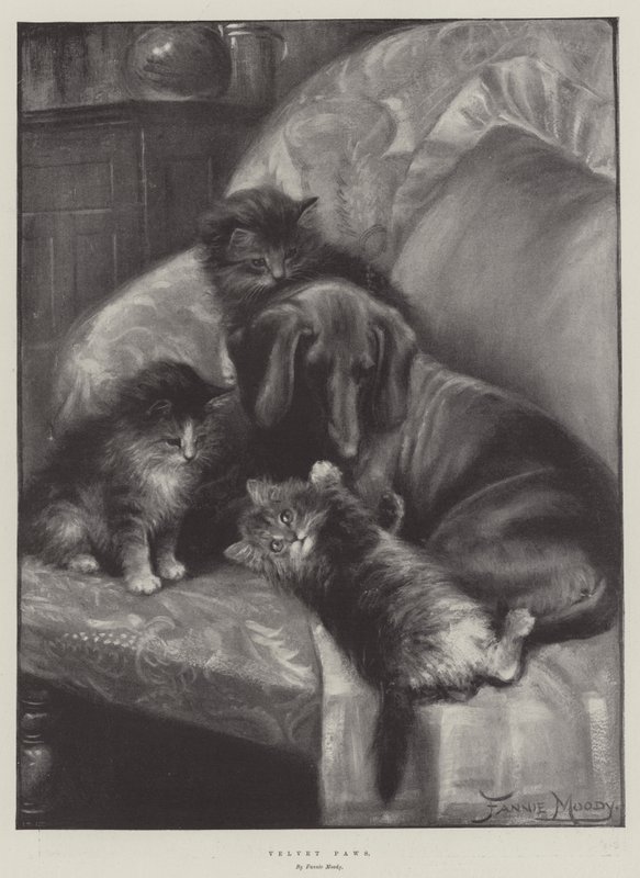 Zampe di velluto da Fannie Moody