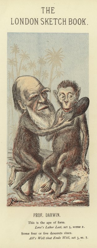 Caricatura di Charles Darwin da Faustin