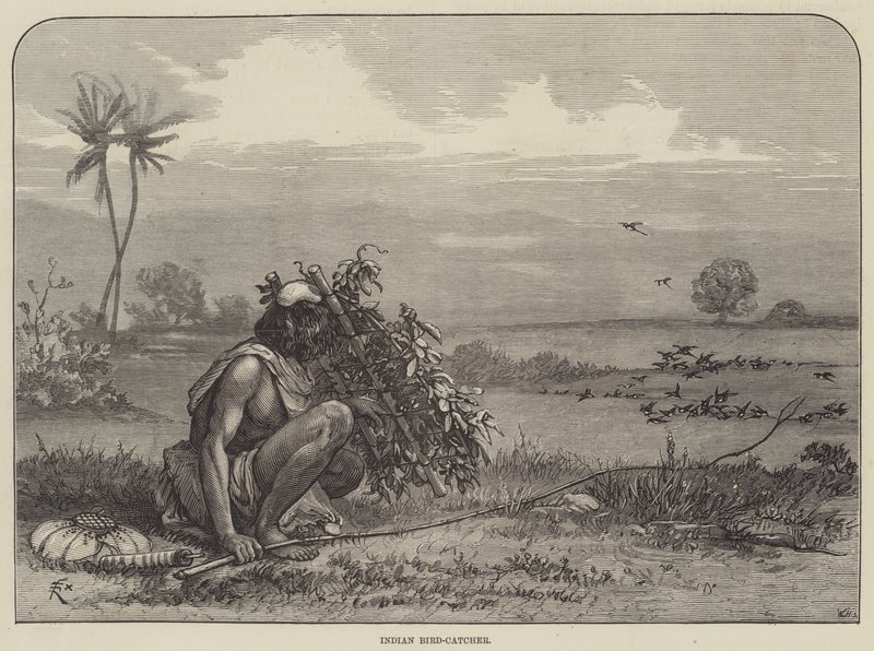 Cacciatore di Uccelli Indiano da Felix Regamey