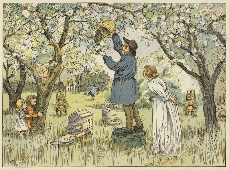 Agricoltore di api (litografia a colori) da Francis Donkin Bedford