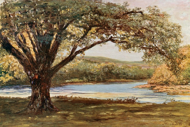 La valle di Avoca da Francis S. Walker