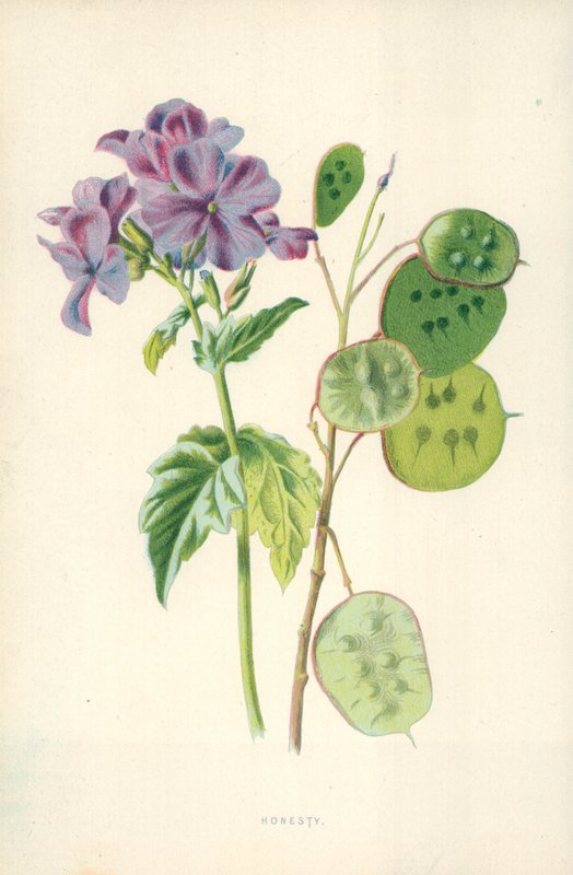 Onestà da Frederick Edward Hulme