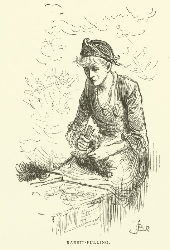 Tirando il coniglio da Frederick L. Bernard