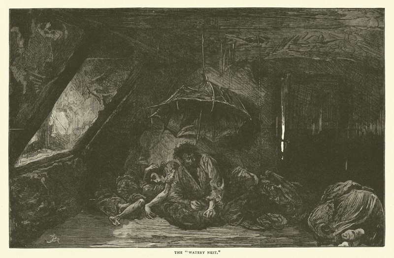 Il nido acquatico da Frederick L. Bernard