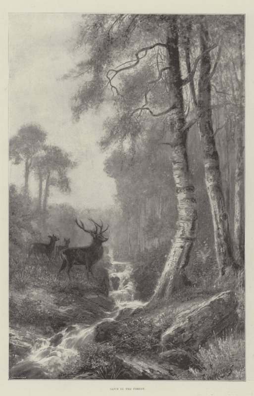 Alba nella foresta da Frederick William Hayes