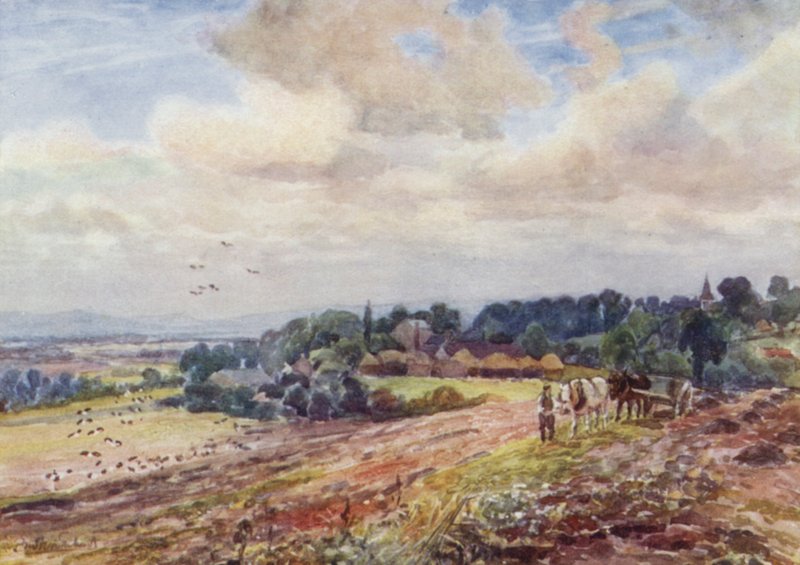 Grafton affamato da Frederick William Newton Whitehead