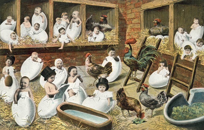 Bambini che escono dalle uova in un pollaio da French Photographer