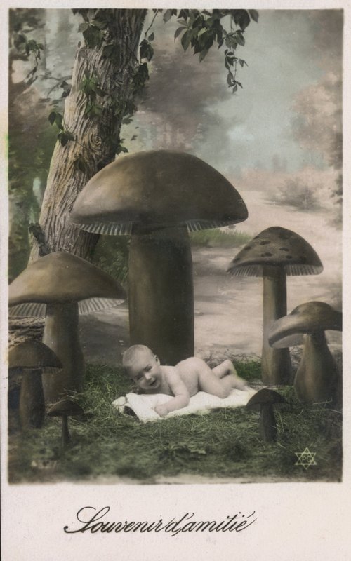 Bambino in un campo di funghi da French Photographer