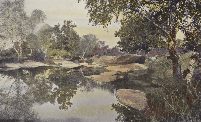 Fontainebleau, foresta, stagno di Franchard da French Photographer
