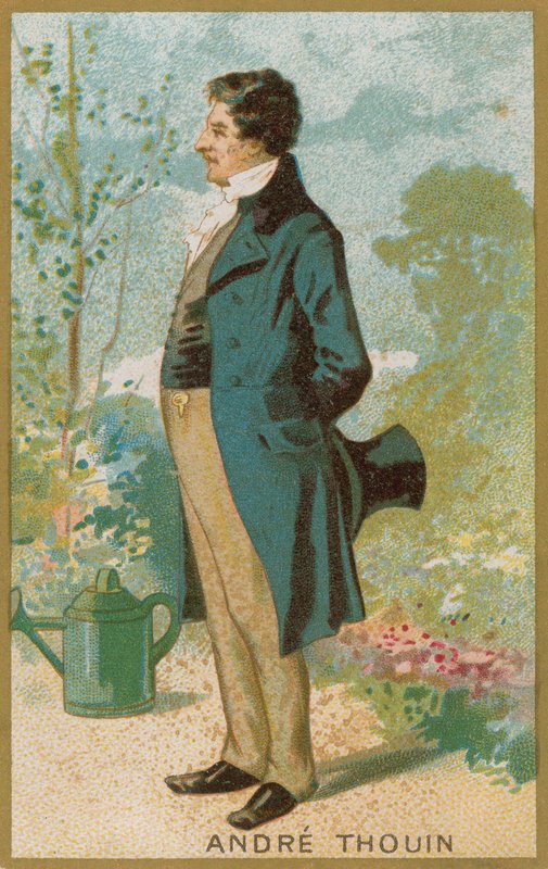 André Thouin da French School