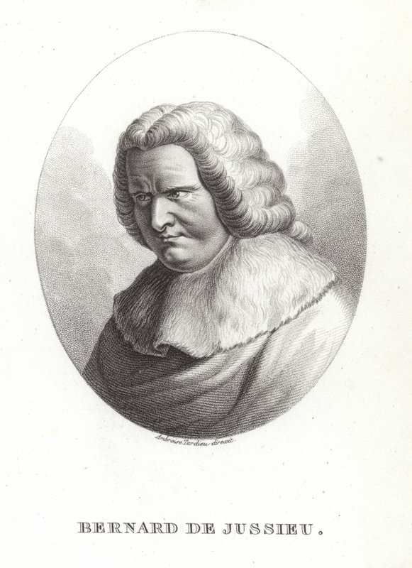 Bernard de Jussieu da French School