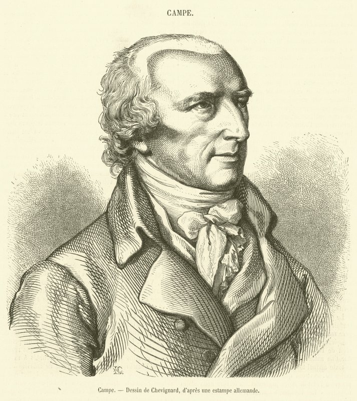 Campe (incisione) da French School