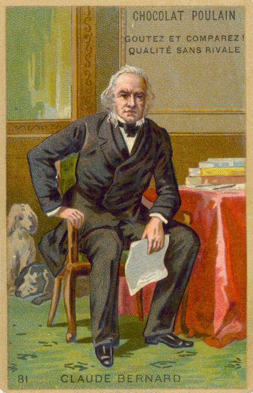 Claude Bernard, fisiologo francese da French School
