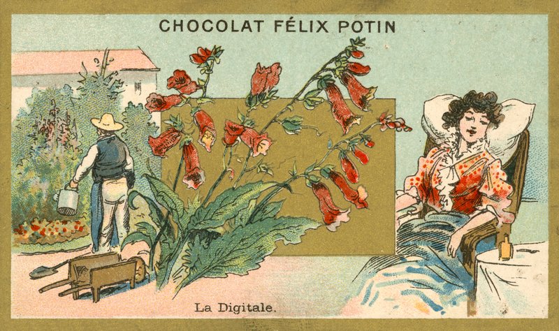 Digitale da French School