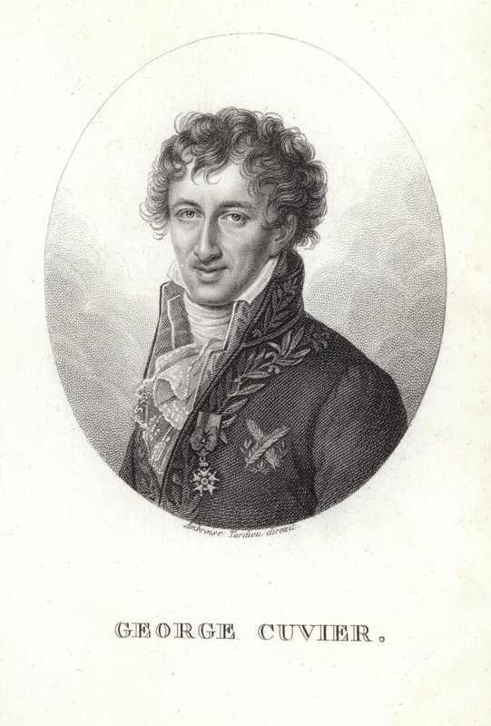 Georges Cuvier da French School