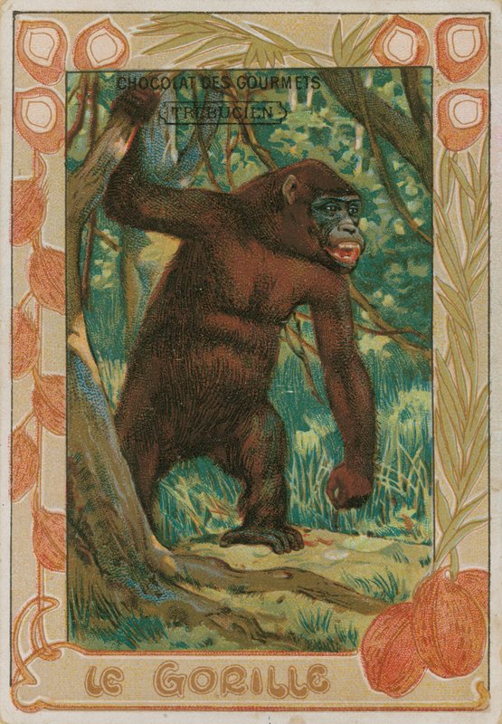 Gorilla da French School