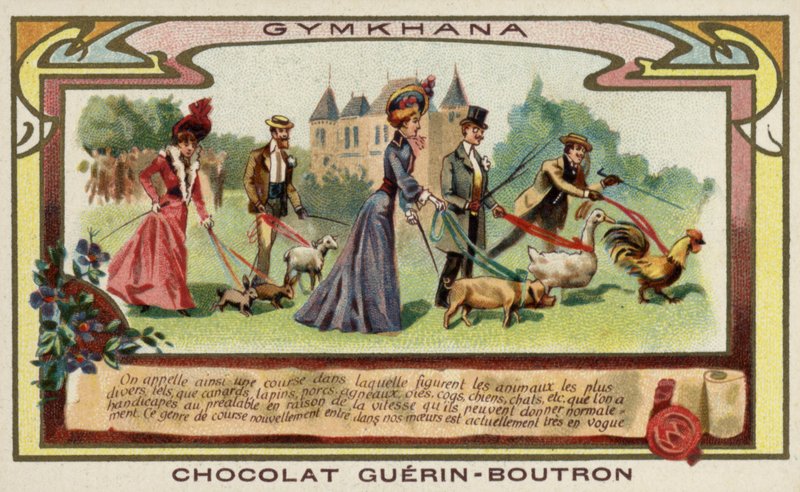 Gymkhana da French School