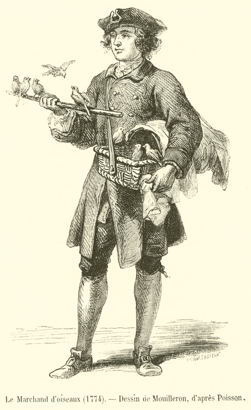 Il venditore di uccelli da French School