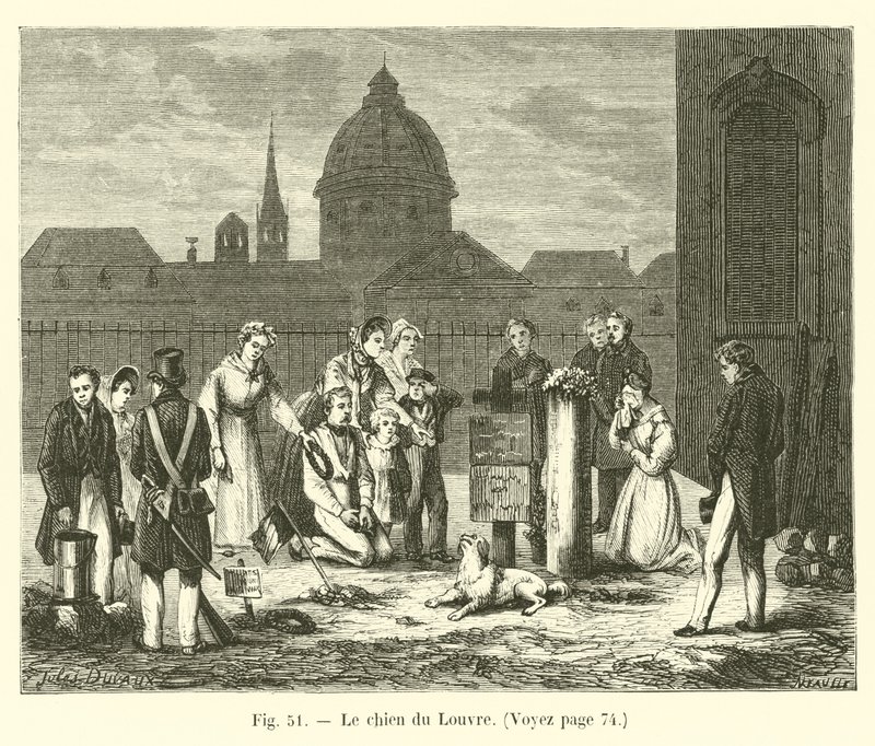 Il cane del Louvre da French School