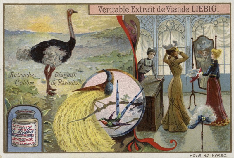 Carta Liebig con immagini di uccelli da French School