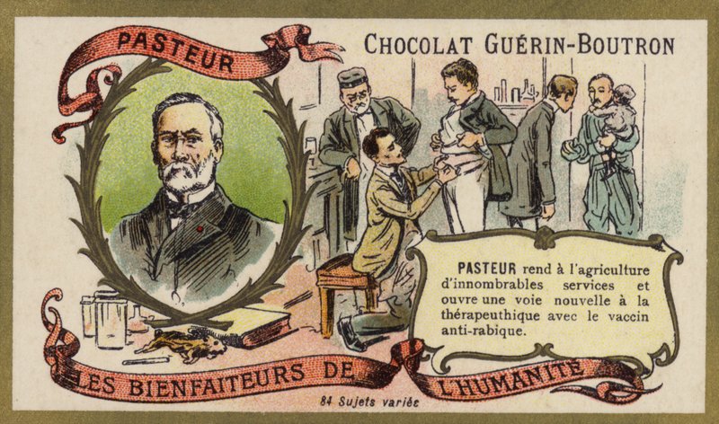 Louis Pasteur, chimico e microbiologo francese da French School
