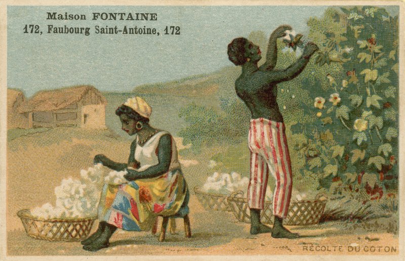 Carta commerciale Maison Fontaine, raccolta del cotone da French School