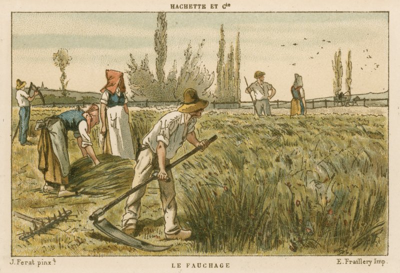 Falciatura da French School